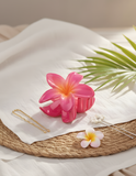 Hair Clips - Add-on