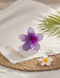 Hair Clips - Add-on