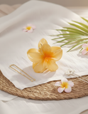 Hair Clips - Add-on